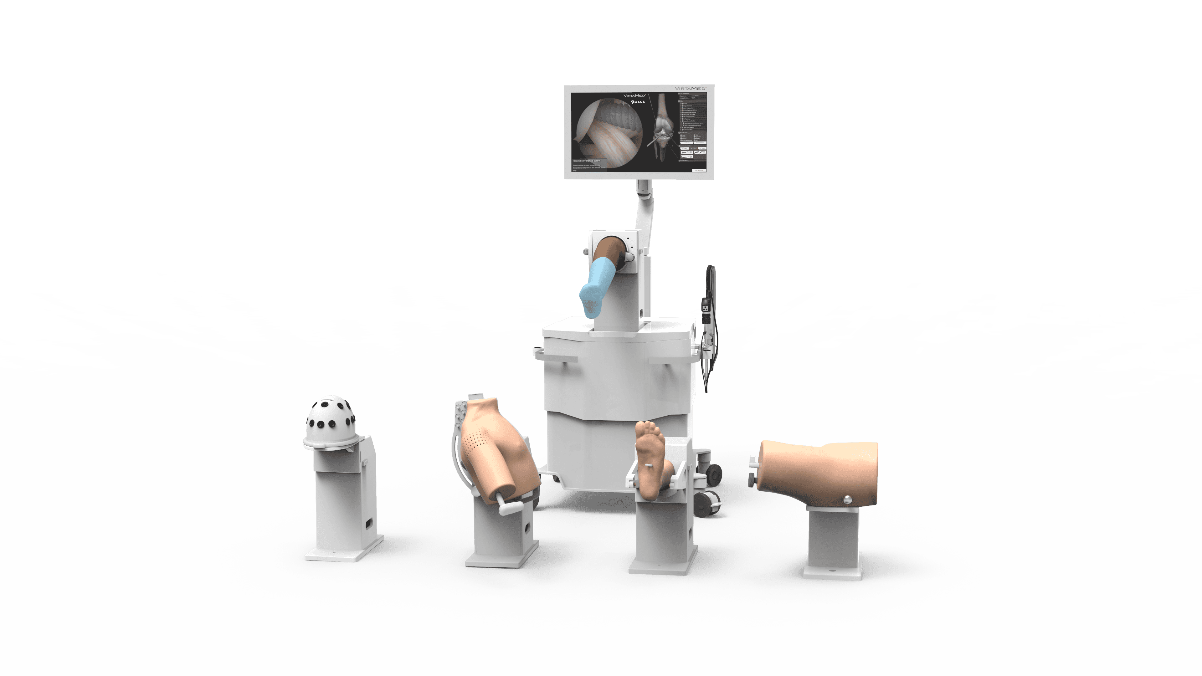 ArthroS_Family_transparent BG_4k.png