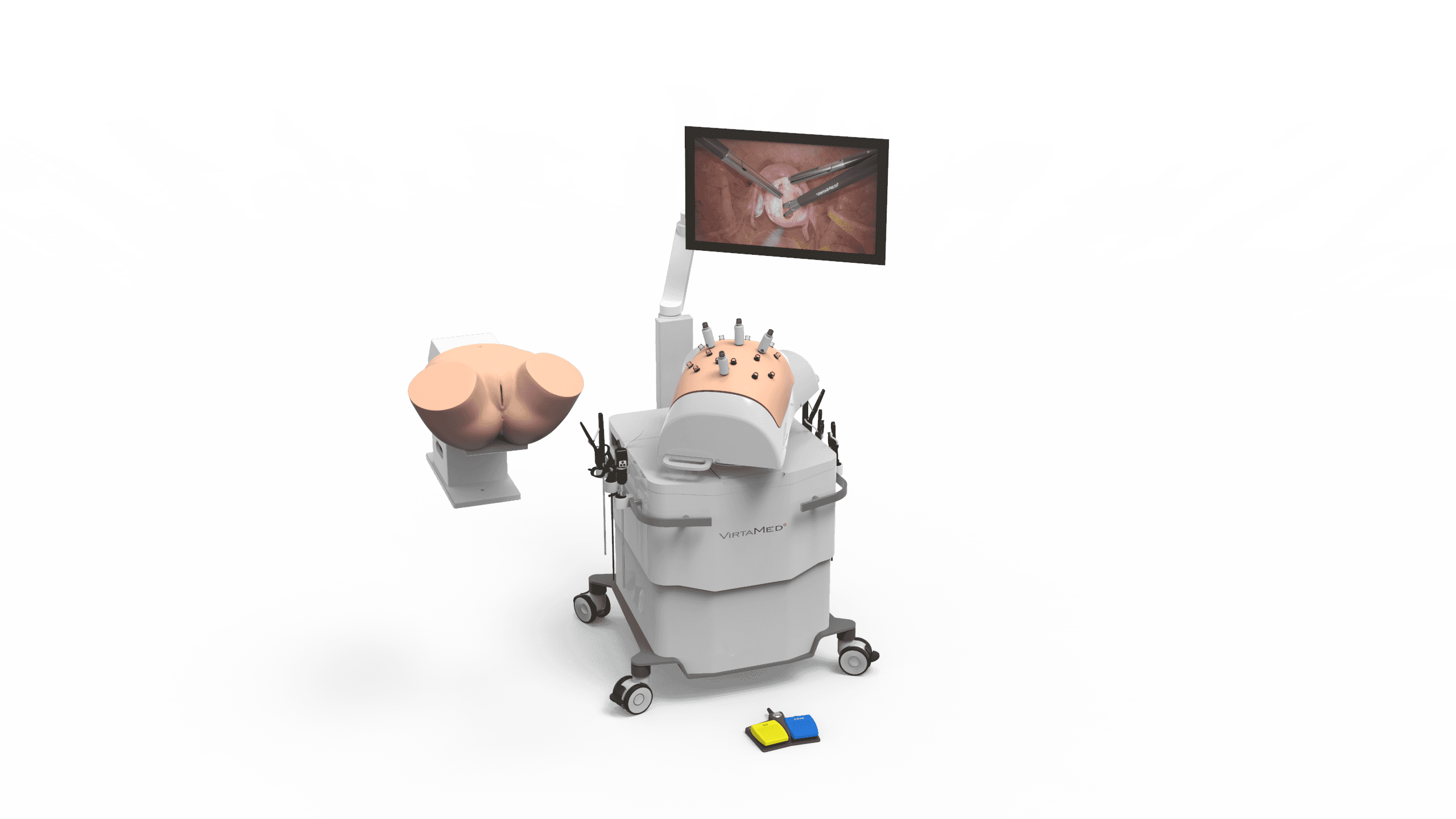 GynLap and Pelvic Module_2023.png